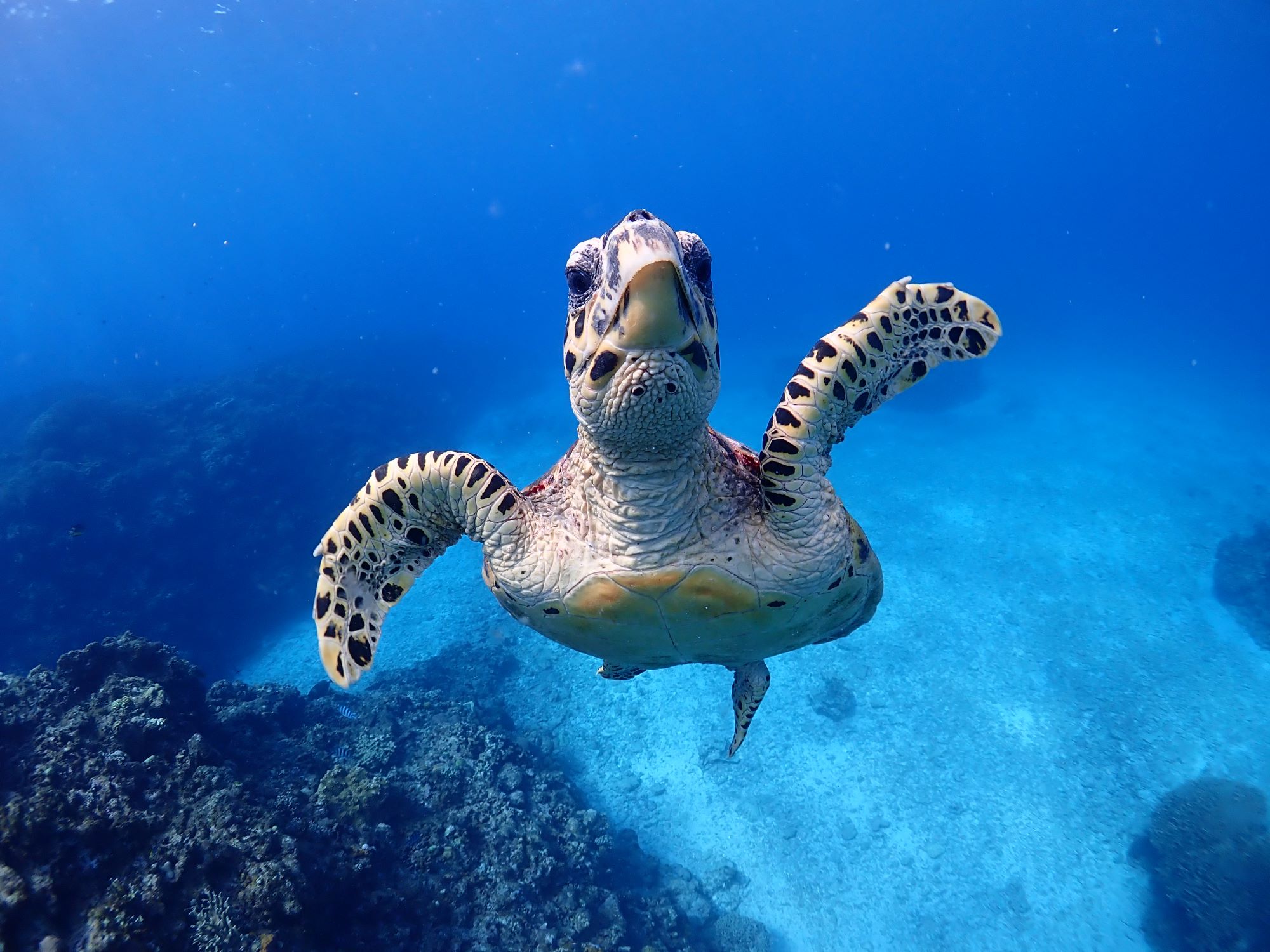 海はおやすみです　