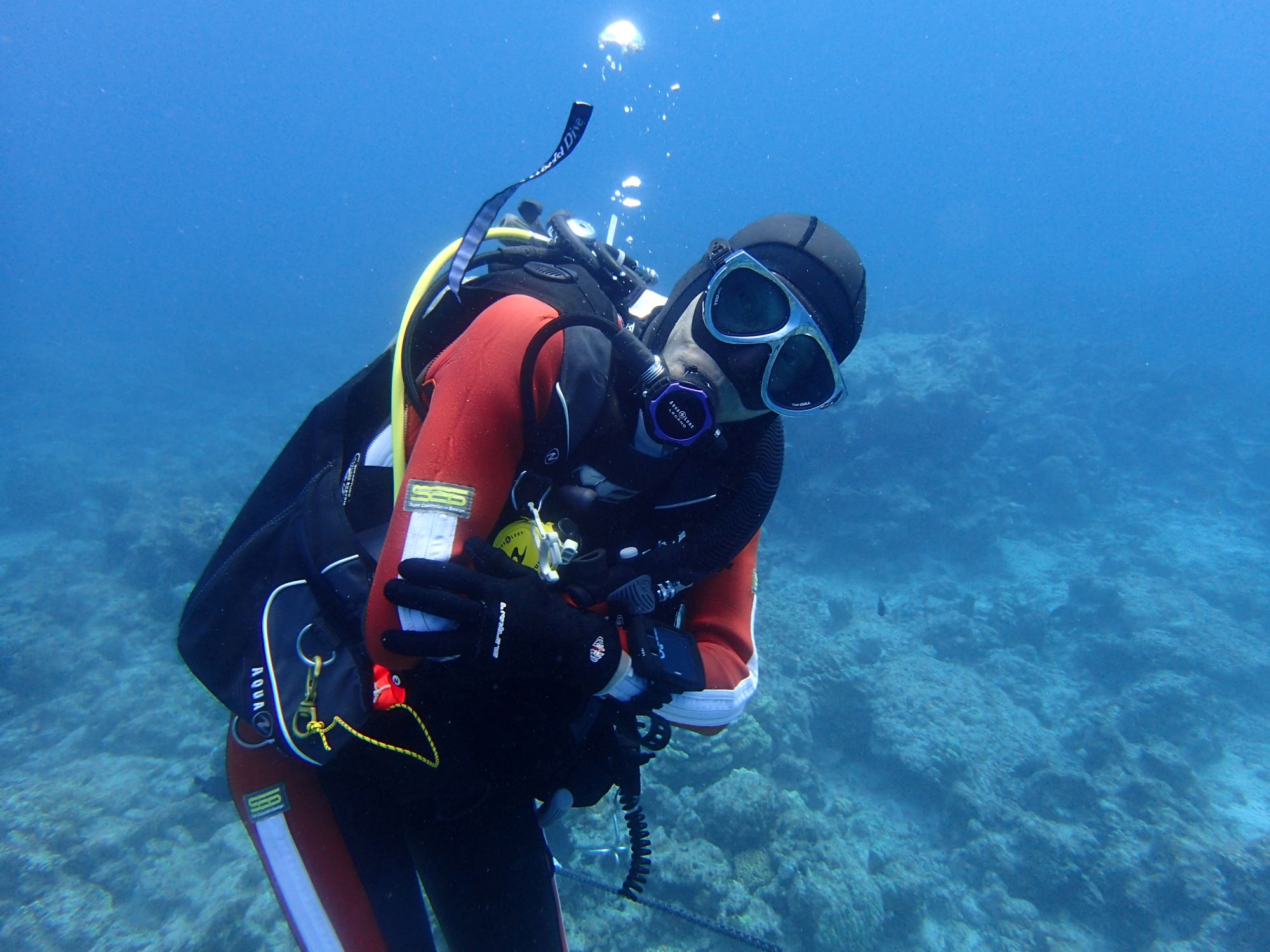 2023年10月23日　ついて来るのはダ～レ🐠🐠