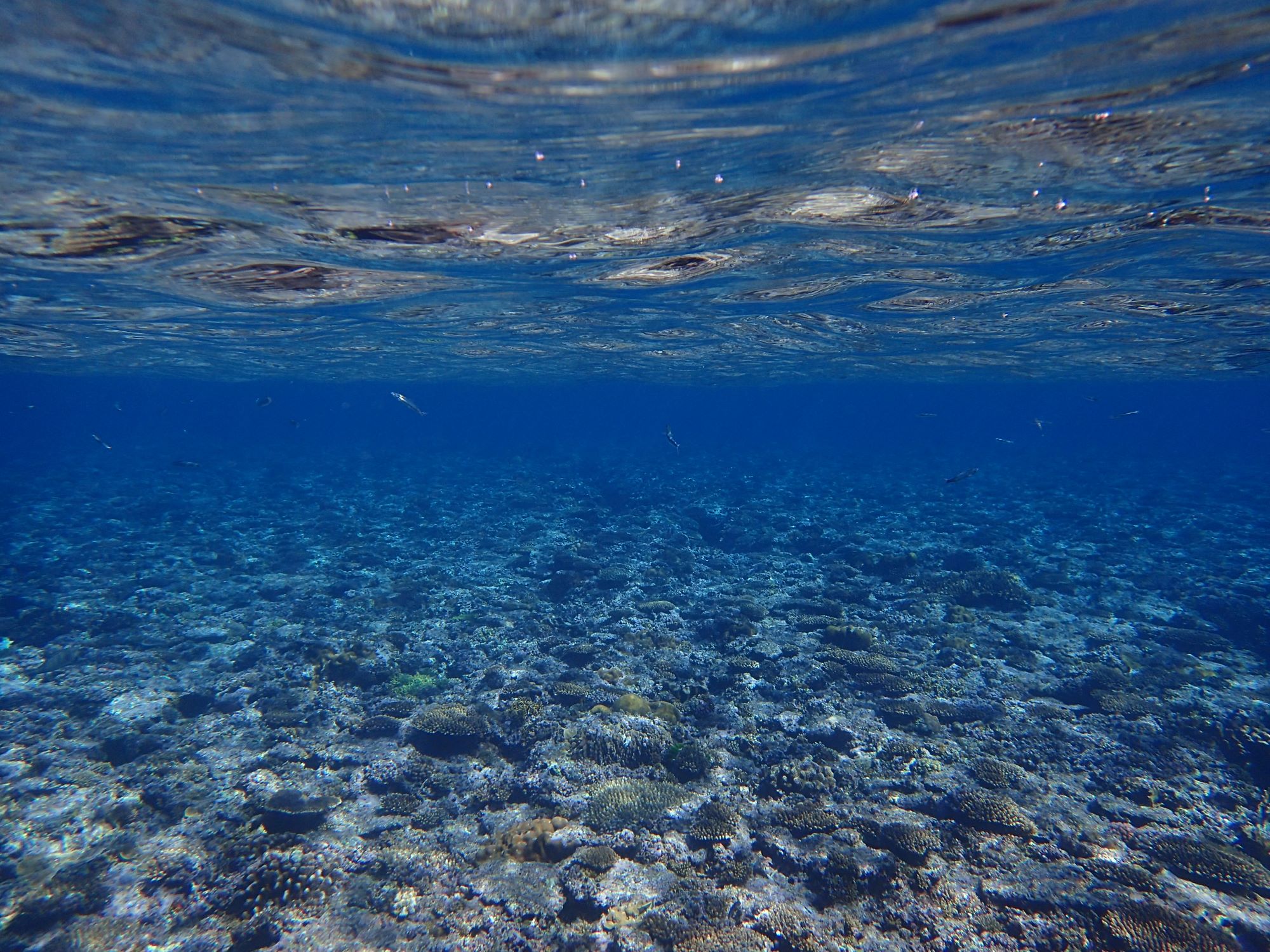 このくらいの気温が丁度いい