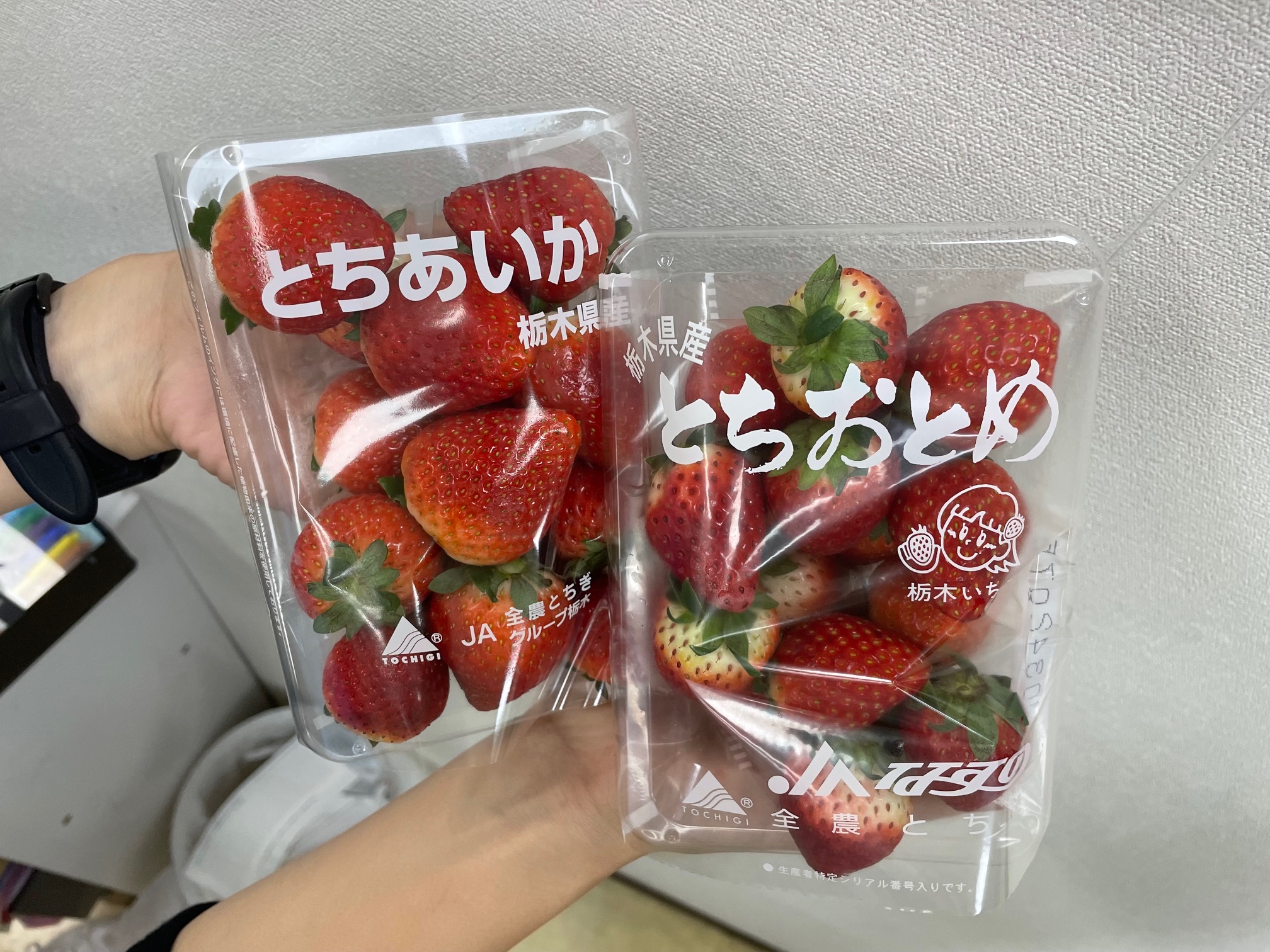 栃木県のいちご🍓🍓