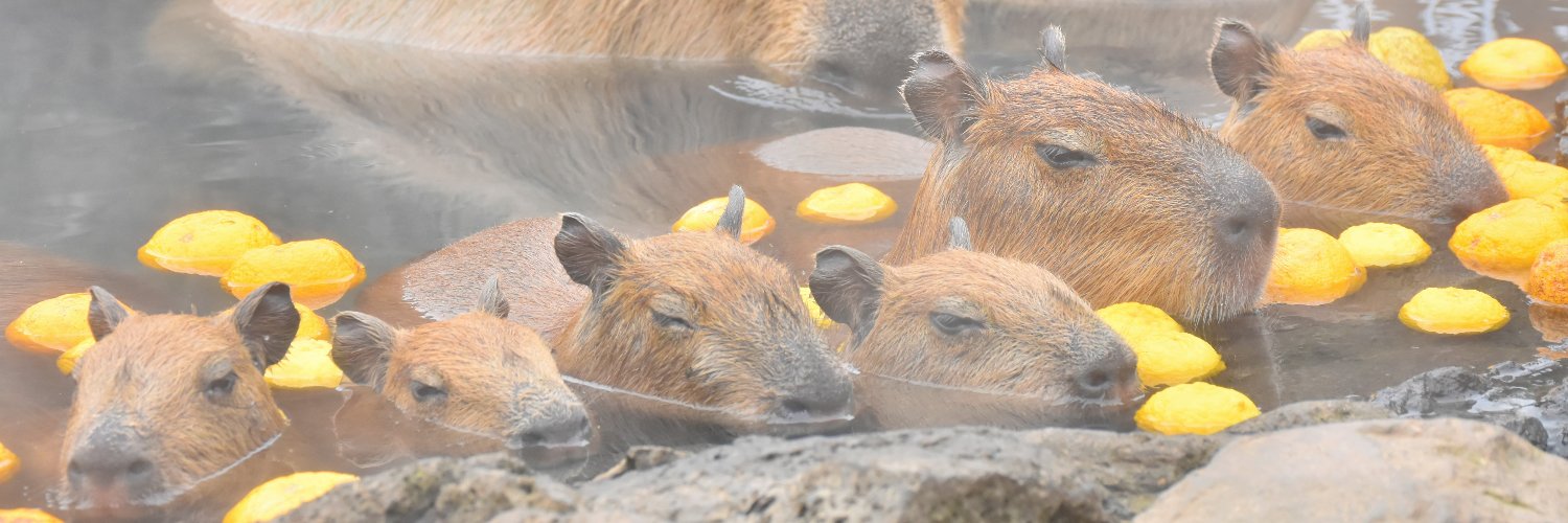 カピバラの露天風呂