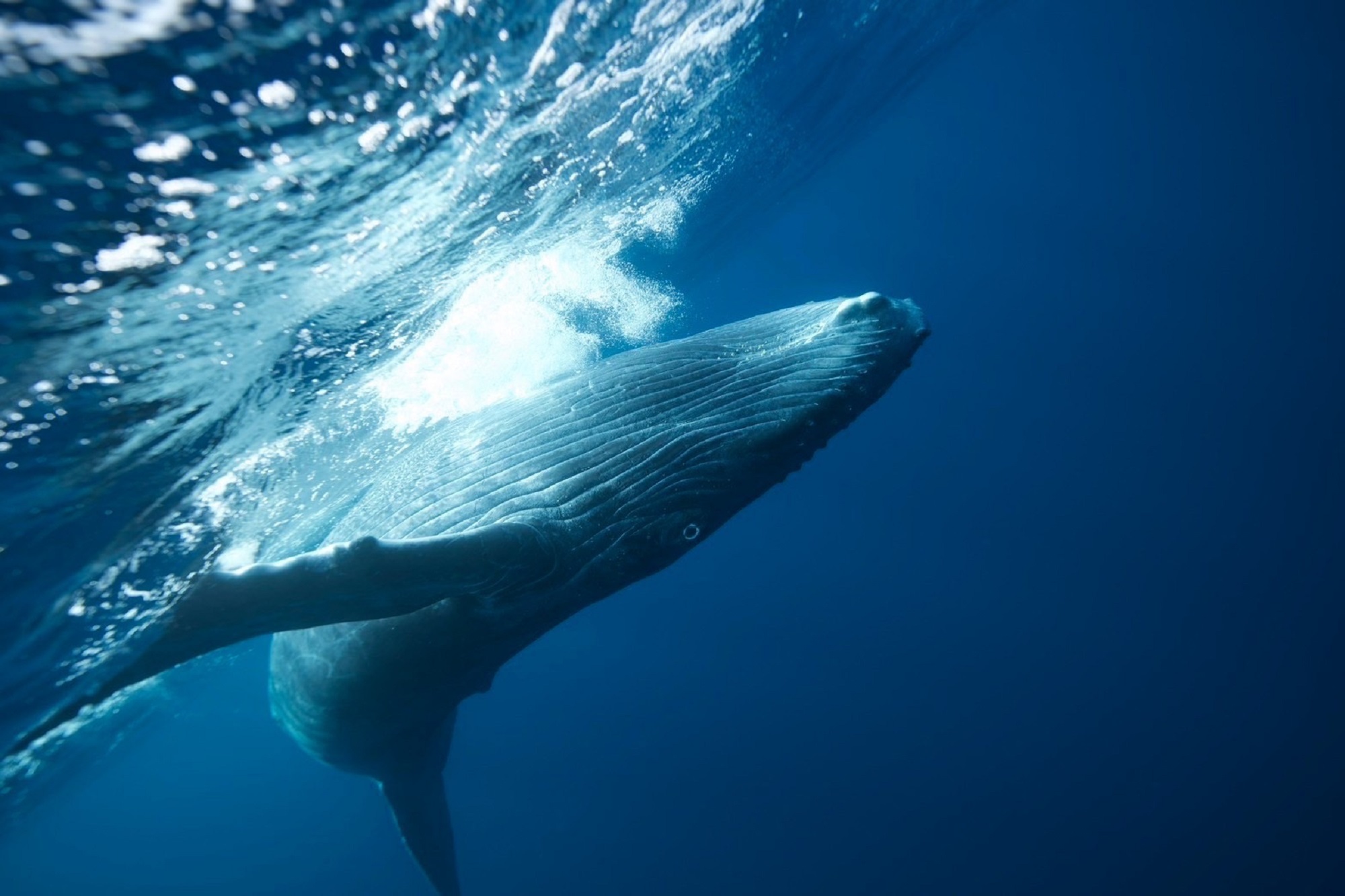 2024年3月7日　ホエールスイム🐋