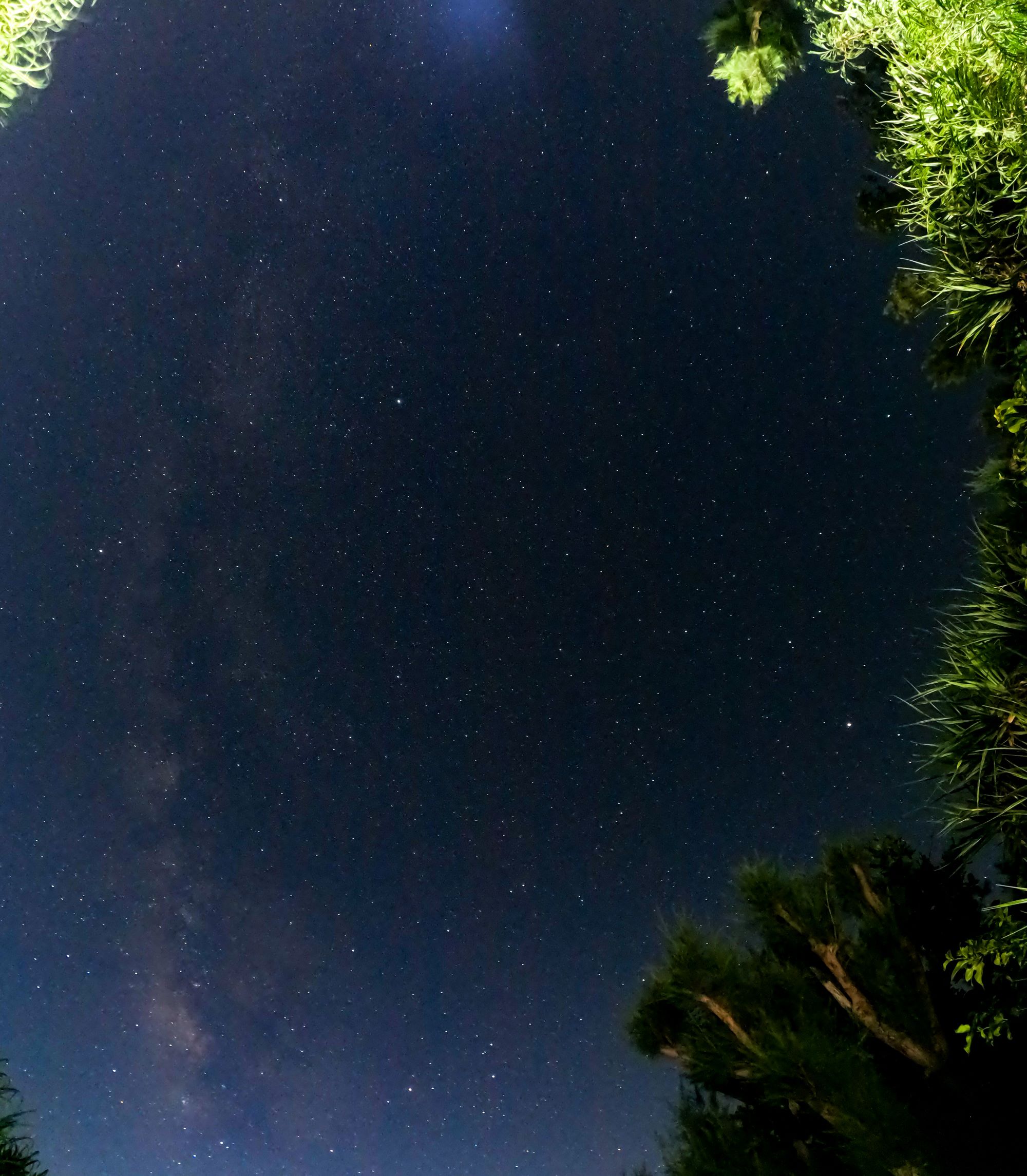 Gopro星空撮影