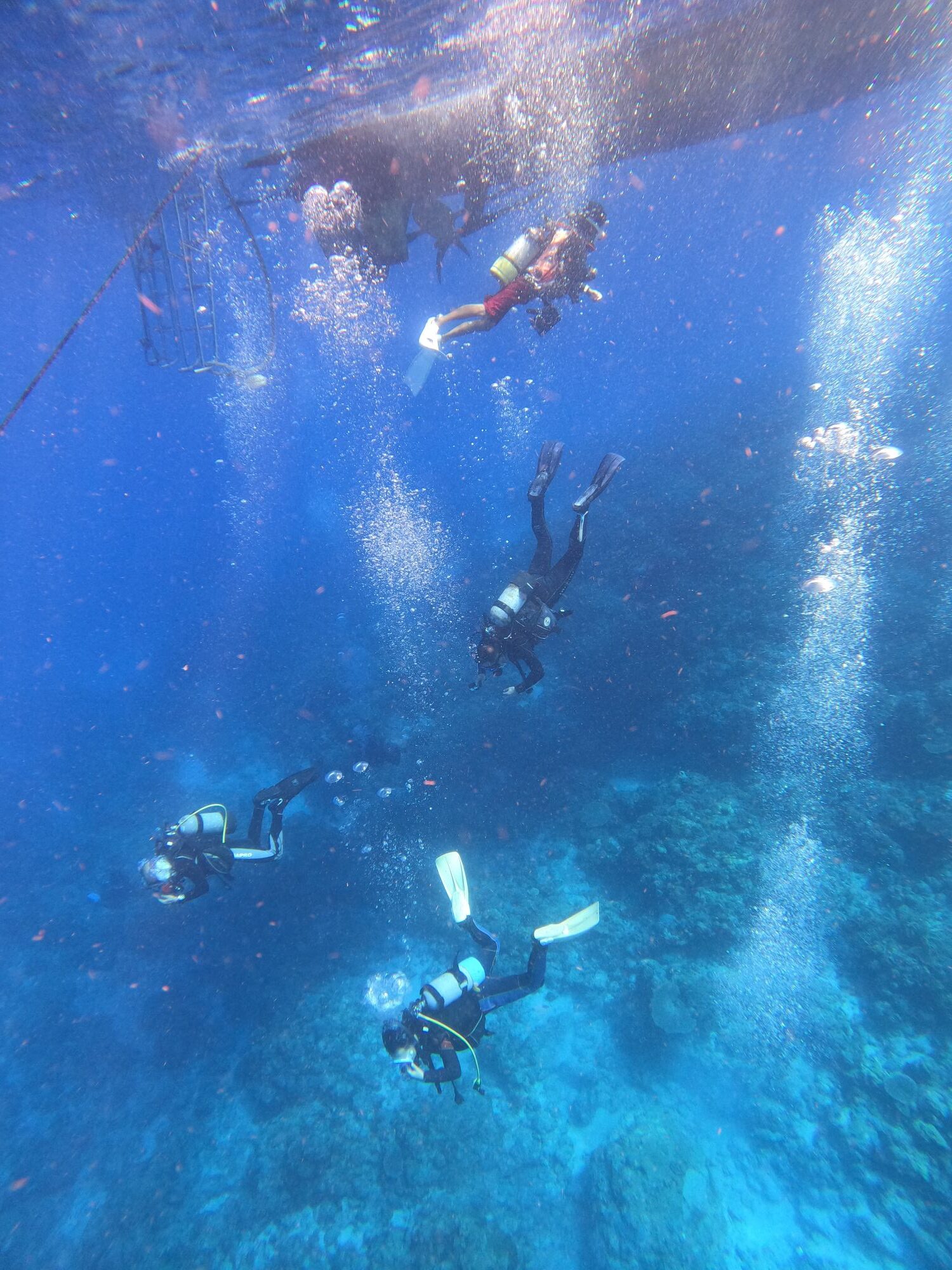 2024年7月2日スタイル号で行くケラマ諸島⛴